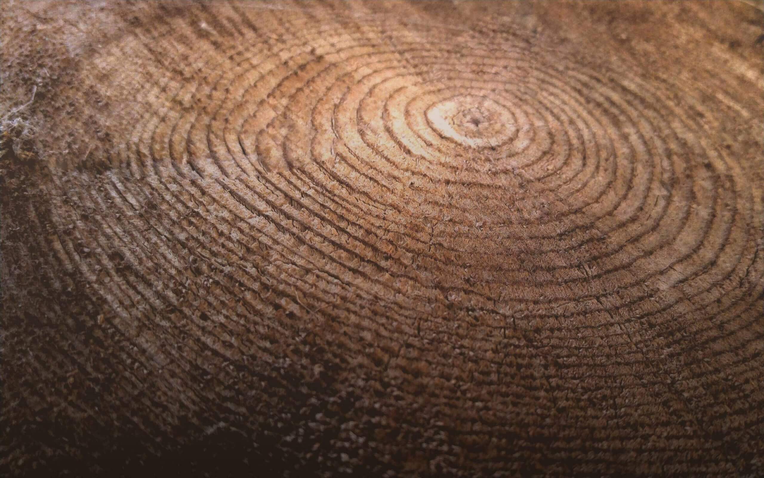 Sobre Arima Paisaje Montañoso